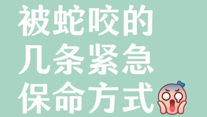 2025年澳门六开彩开奖结果直播,袁隆平墓前有一束特别的稻穗,精准解释落实及其象征意义_界面版V12.98